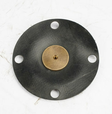 Composite PTFE EPDM Diaphragm For Aquasystem Metering Pump