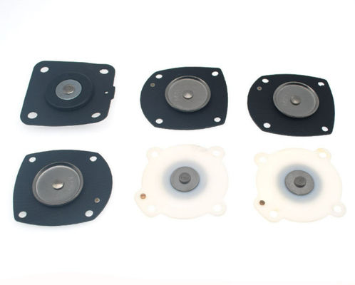 Thread Connection Solenoid Valve Diaphragm With Stainless Steel Construction