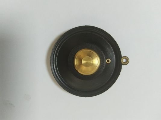 0-20 L/min Flow Solenoid Valve Diaphragm with Direct Acting Mounting Type Wide Operating Temperature Range