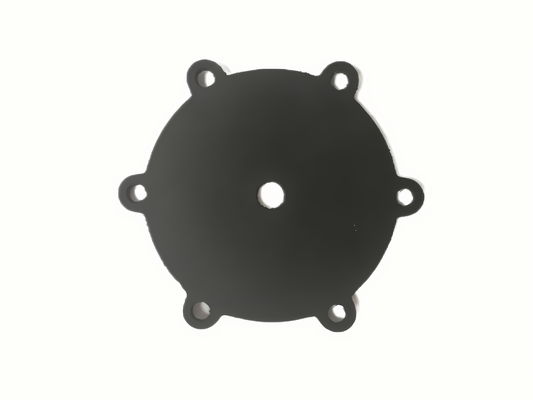 Precipitator Equipment Usage Scene Low Leakage Solenoid Valve Diaphragm with Threaded Connection