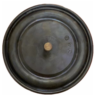 DN8 DN200 प्लंजर वाल्व पंप मीटरिंग पंप फिट डायफ्राम PTFE EPDM
