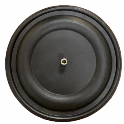 DN8 DN200 प्लंजर वाल्व पंप मीटरिंग पंप फिट डायफ्राम PTFE EPDM